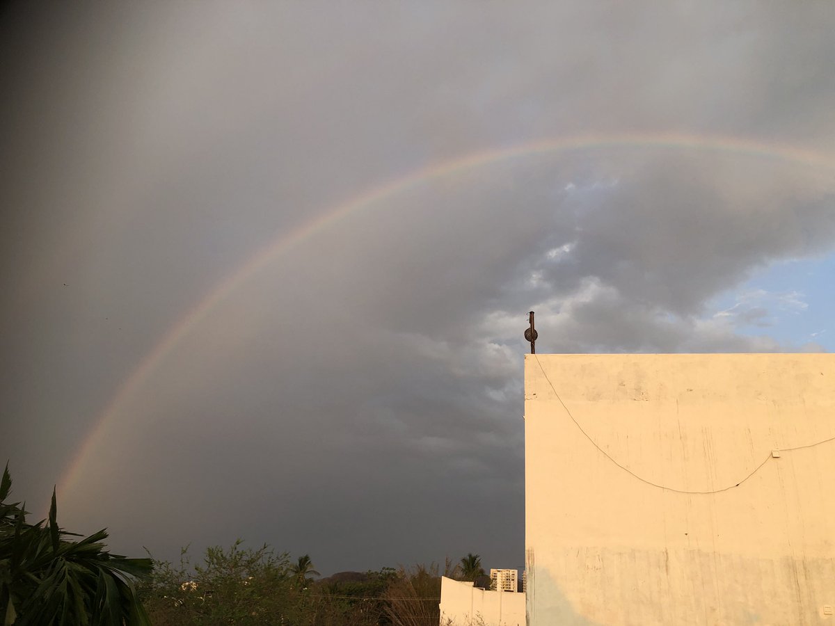SEAisMEDICINE's tweet image. Rainy season has begun! GM #MPLaunchpad