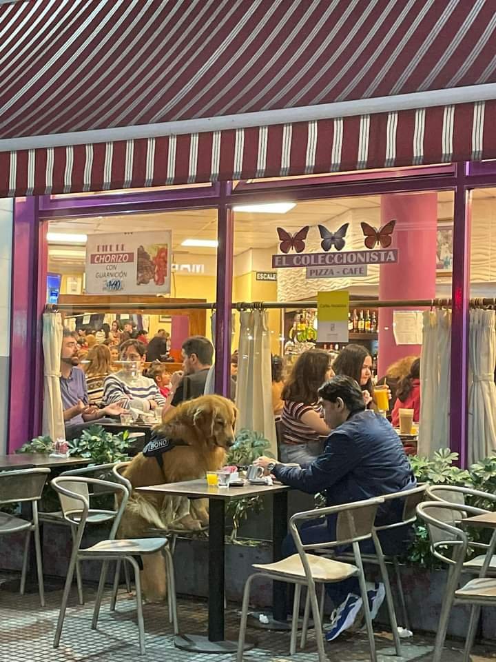 this pic cured all my bad days