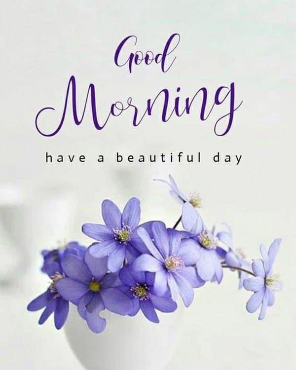 debbilicious335's tweet photo. Good morning, have a wonderful day ☔️☕️☔️☕️☔️ https://t.co/XeyCKPWndT