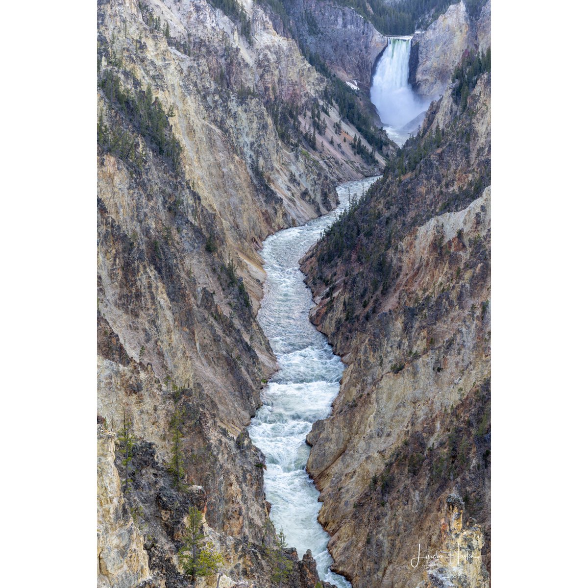 Loon160T's tweet photo. Grand Canyon of Yellowstone from Artist Point (Yellowstone National Park) 
#yellowstonenationalpark #yellowstone #canyon #waterfall #waterfallphotography #nature #naturephotography #outdoors #landscape #Canon #R5 #reallyrightstuff #lightroom https://t.co/gcwty0rxCf