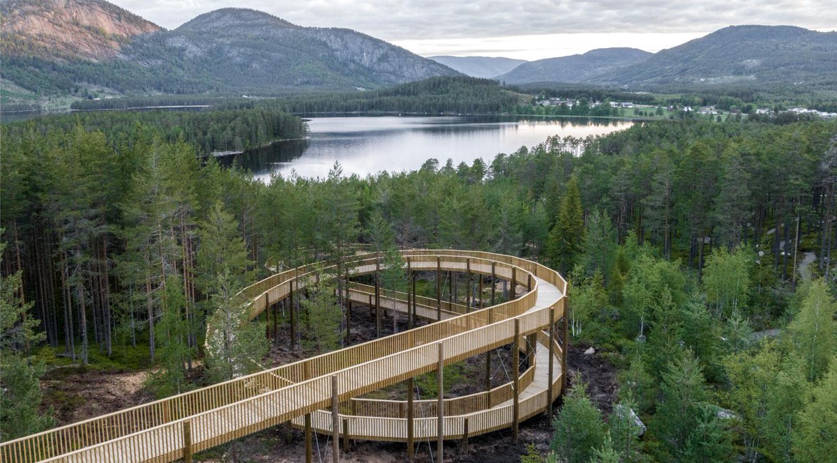 aasarchitecture's tweet image. EFFEKT completes Norway’s first treetop walk
#landscape #walkway @effektarchitects buff.ly/46hsThs