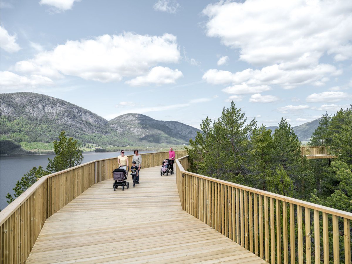 aasarchitecture's tweet image. EFFEKT completes Norway’s first treetop walk
#landscape #walkway @effektarchitects buff.ly/46hsThs
