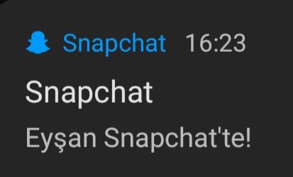 Mario gomez snapchate katılmış