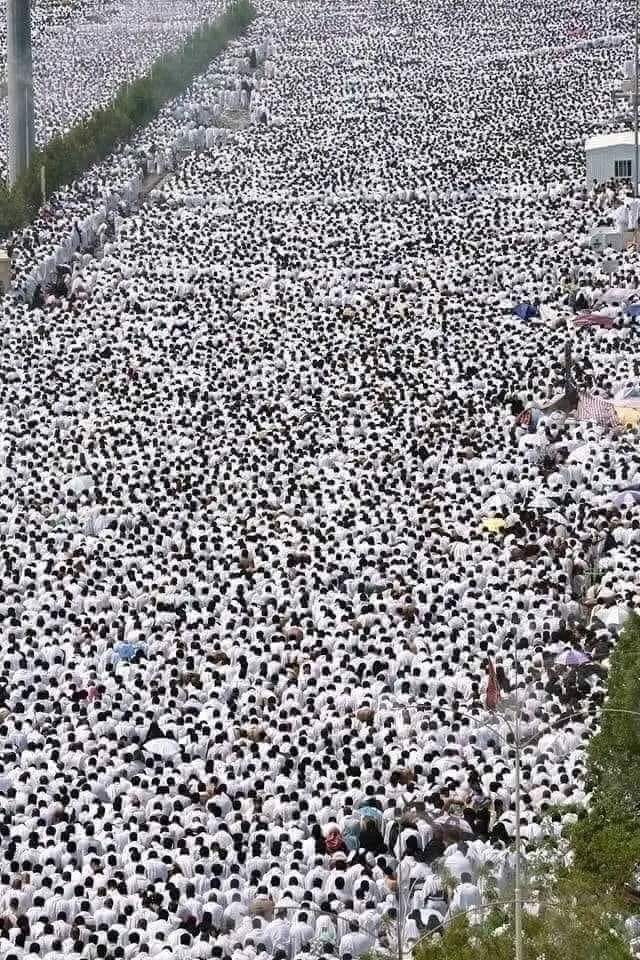 ahmedaabed202's tweet photo. الحمد لله على نعمة الاسلام وكفي ب��ا نعمة ♥️ https://t.co/VTefjEE2Pz
