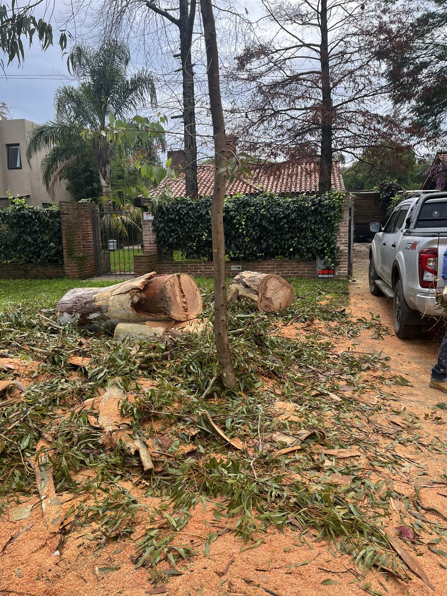 Lamentable la <a href="/IdCanelones/">Gobierno de Canelones</a> vino a cortar el árbol de un vecino el sábado y así me encuentro mi casa cuando llego, quién se va a hacer cargo de arreglarme el pasto y el riego que me estropearon? Quién va a venir a buscar las ramas y barrer el quilombo que hay?