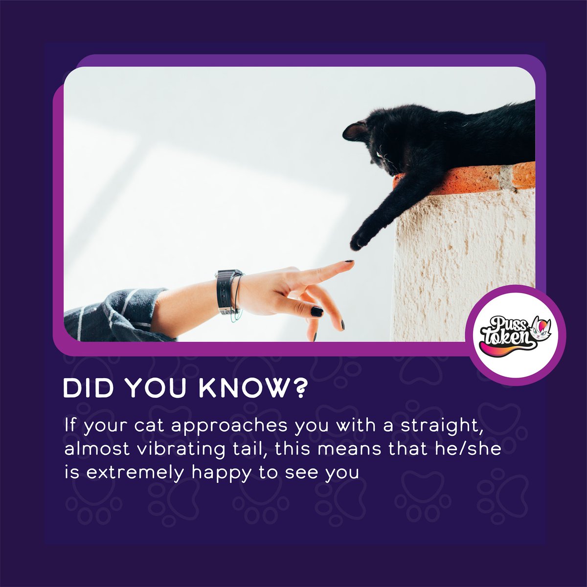 Happiness overload! 🍀