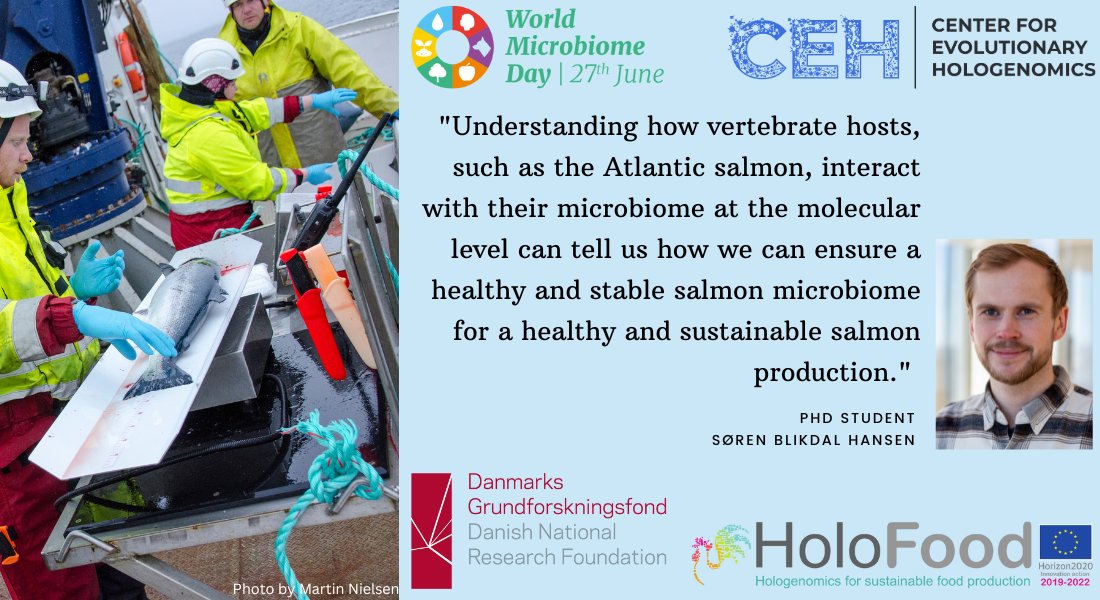 Last but not least we have #PhDstudent @Blikdal working on data from the @HoloFood_EU project! He is researching how to ensure a #healthy and stable #salmon #microbiome for a more healthy and sustainable #aquaculture 🐟🧬🦠👏 @GrundforskFond #WMD2023 #Hologenomics #scicomm