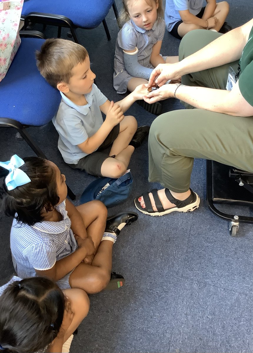 Nursery have had a fantastic time exploring some mini- beasts and insects! We showed lots of resilience to stroke and even hold the large land snail.

Thank you <a href="/WigglyWildShow/">Cairis</a> <a href="/W00dlandAcademy/">Woodland Academy Trust</a>