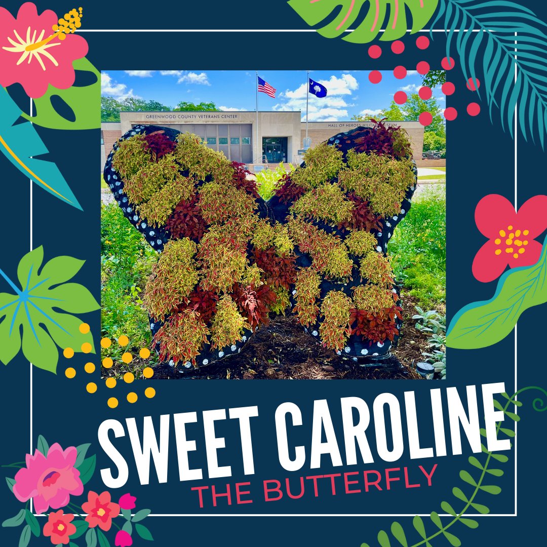 Resting gracefully in Uptown Greenwood, Sweet Caroline, sponsored by Rush Hobby &amp; Garden Center &amp; Rush Heating and Cooling, often flutters and sips nectar bringing joy to all that pass by. 🌼🦋✨  #YourSummerFunStartsHere #SCFOF2023 #TopiaryLove
