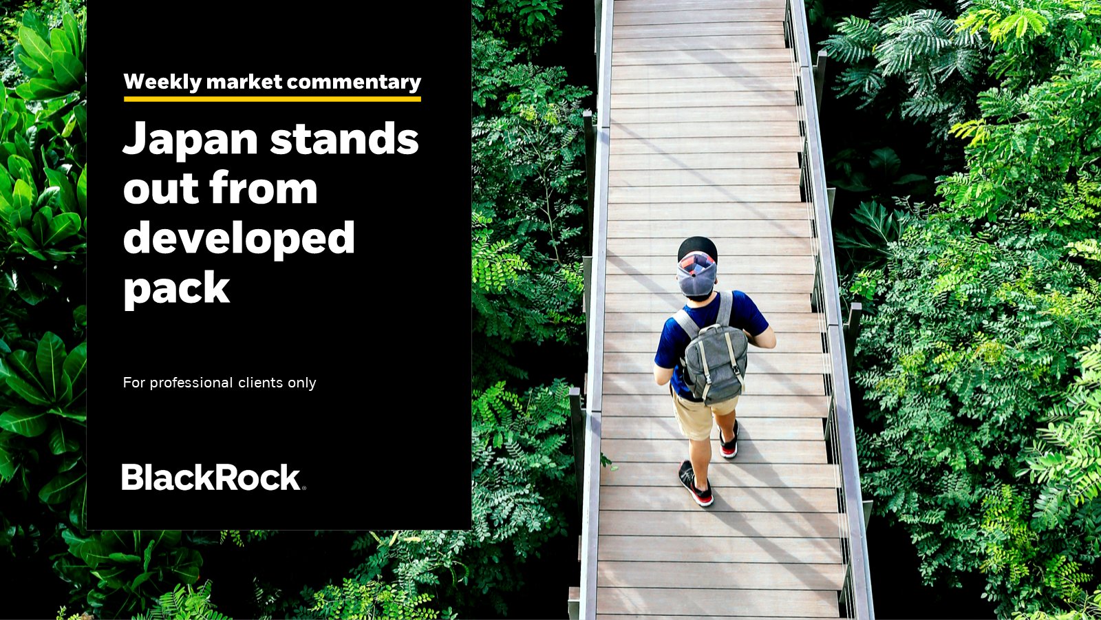 Blackrock on twitter ann katrin petersen of the blackrock investment
