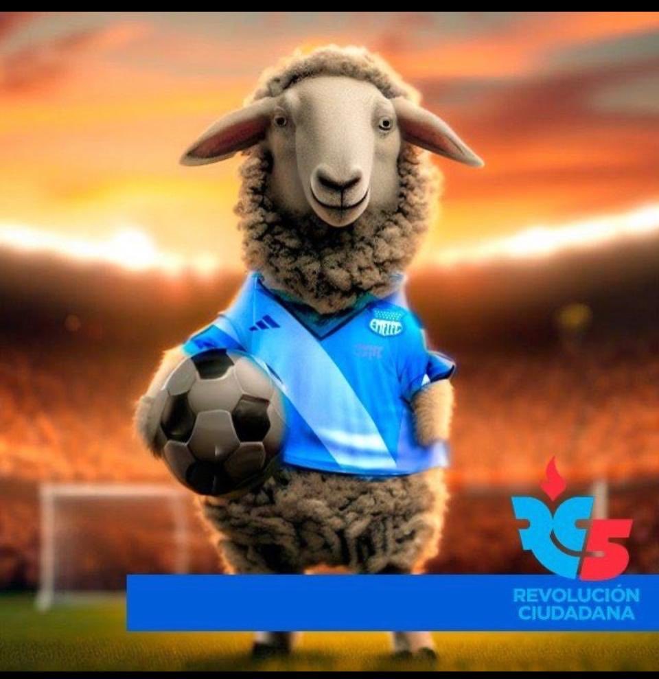 ¡La mejor!😎
¡TODO, TODITO 5!