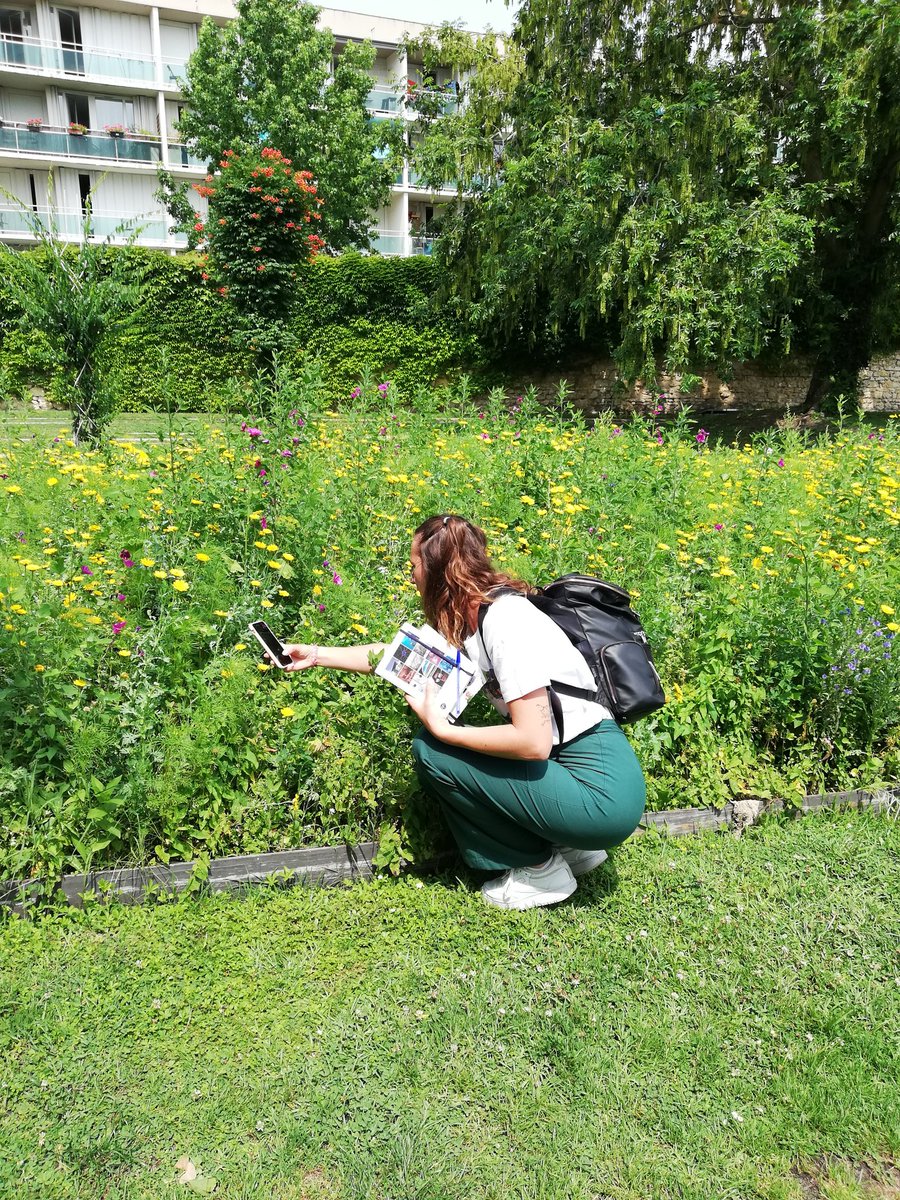 INRAE_NA_BDX's tweet photo. 📸Suivi en direct des #pollinisateurs au @BxJardin avec l'équipe du #SPIPOLL en Nouvelle-Aquitaine
La presse teste l'application avec les scientifiques 🐝 ! @INRAE_BIOGECO @univbordeaux @CNRSAquitaine https://t.co/5GdAxk4jul