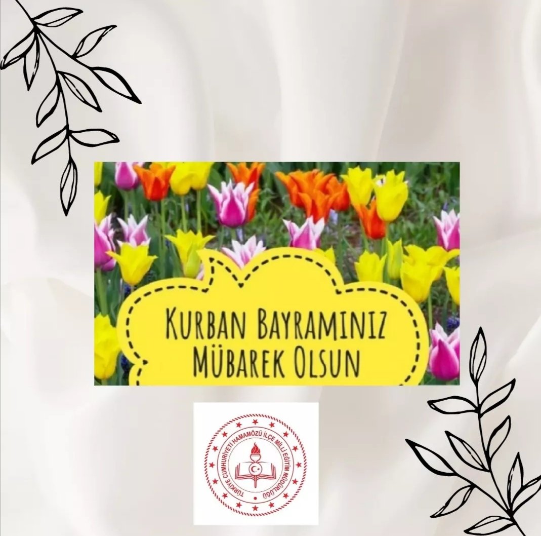 Hamamözü İlçe Milli Eğitim Müdürlüğü (@hamamozumeb05) on Twitter photo 