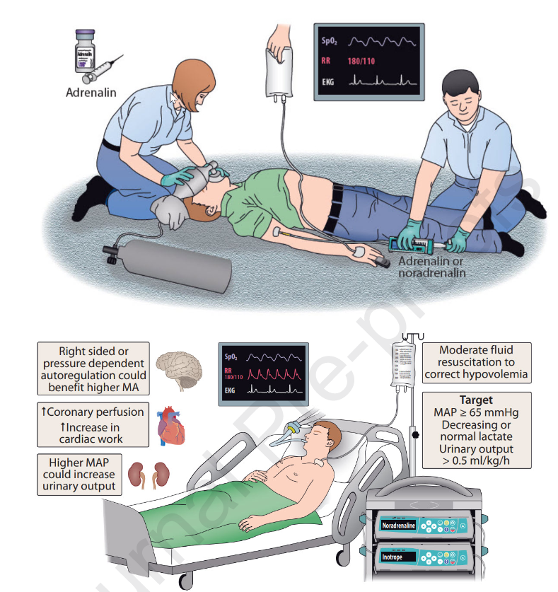 Critical Care Reviews tweet media