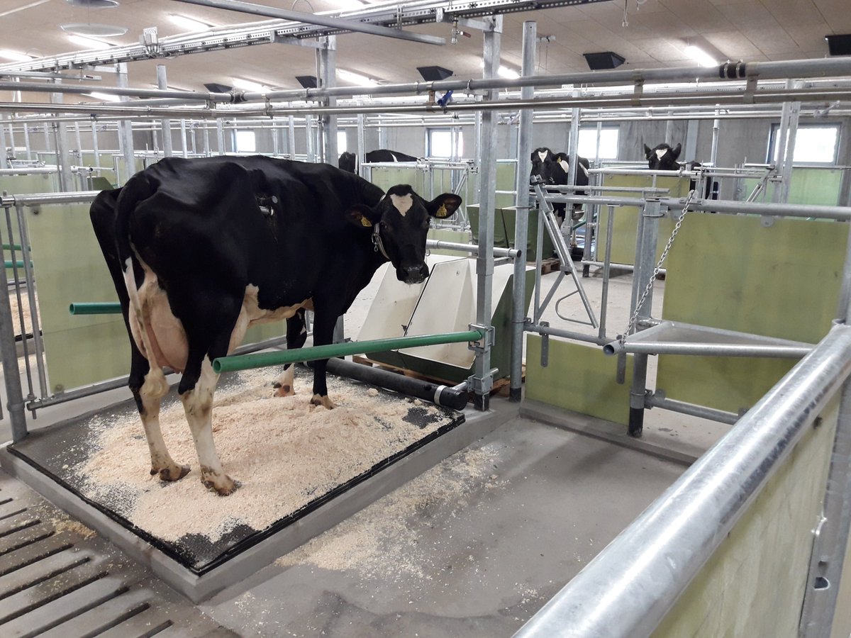 Position as associate professor available from 1 Jan. 2024. The position in molecular microbiology is dedicated specifically to the gastrointestinal associated microbiome, metabolism, and function across animal species. Deadline: 3 August 2023
lnkd.in/e8sJam8v

#microbiome