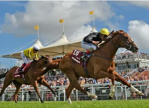 FrankieDettori's tweet photo. There's still more to come! 🫡

https://t.co/hoZaPEarAd https://t.co/VT4CoZ7xka