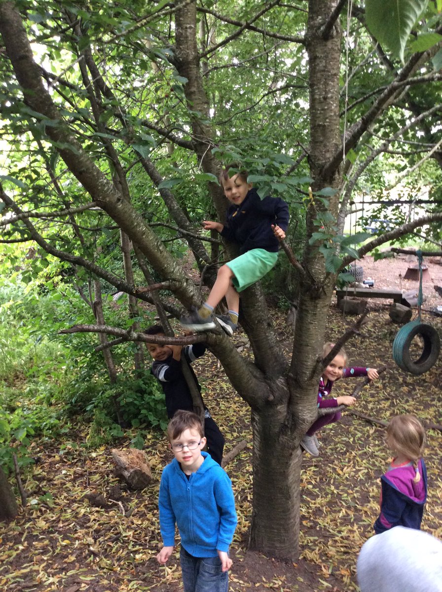 EyfsLakeside's tweet photo. We have come a long way RW, you are now confident safe risk takers in forest school! https://t.co/Nuk1nkerAv