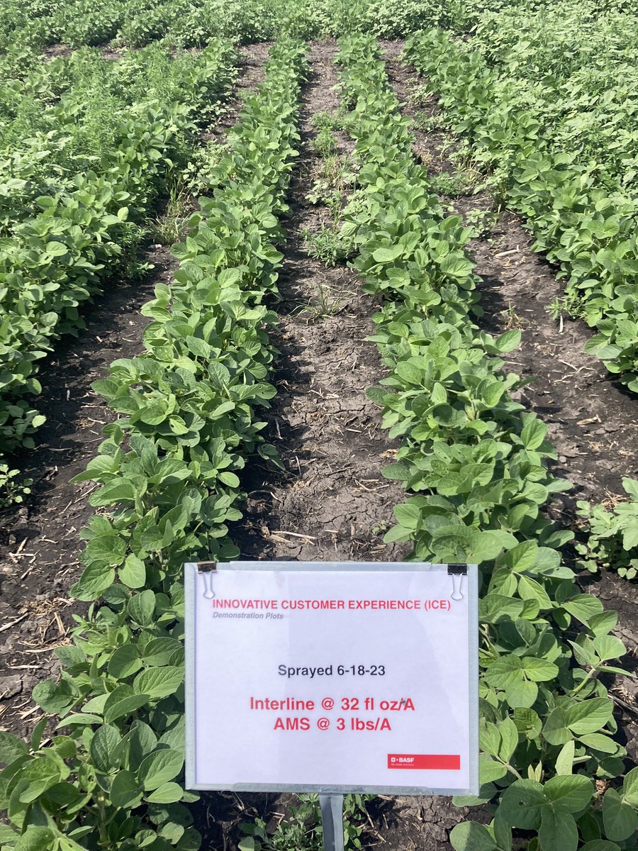 Untreated vs Branded Liberty vs Generic