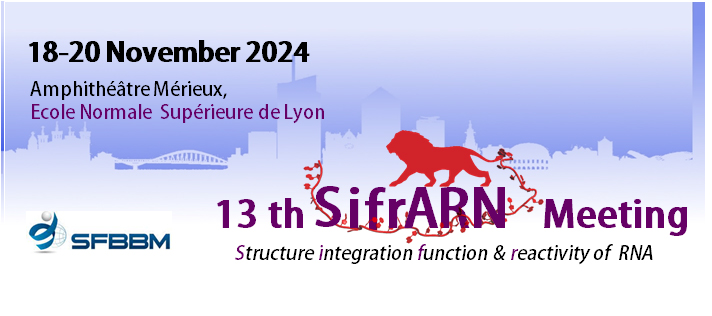 📢Save the date! The next @SifrARN of the @_SFBBM will be held in Lyon on 18-20 November 2024...follow the tweeter page for details coming soon (keynote speakers, program etc) <a href="/CNRS/">CNRS 🌍</a> @inserm @MMSB_Lyon @Lyon_LBMC <a href="/crcl/">CRCL</a> @CRNL