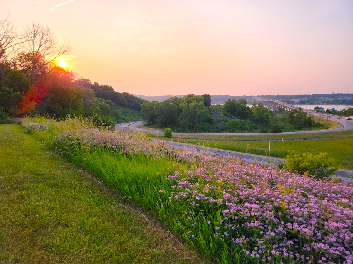 BisonBridge's tweet photo. Good morning and happy Tuesday from the Bison Bridge Foundation! ☀️

#bisonbridge #quadcities #visitquadcities https://t.co/pdTFFqCsXZ