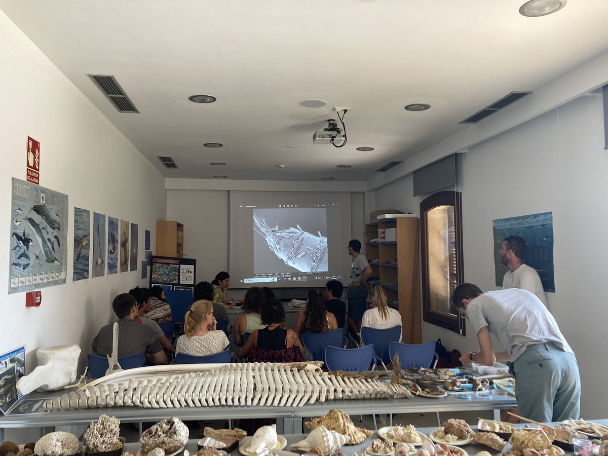 BlueRevolutionProject tweet media