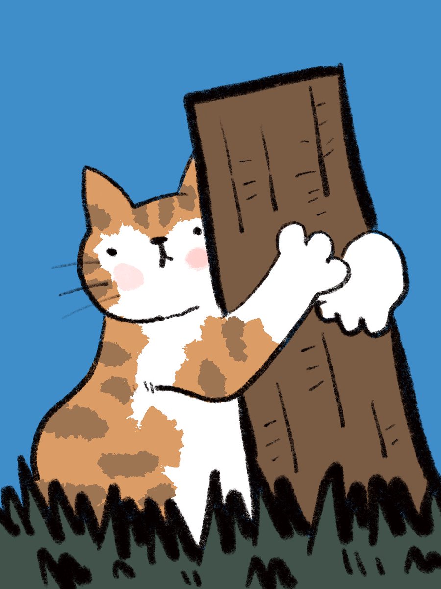 no humans cat blue background animal focus grass simple background wood  illustration images