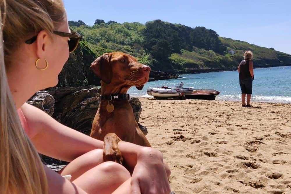 Why should your furry friend miss out on all the fun? From beach side holiday homes to rural getaways, Dog Friendly Retreats has the largest selection of dog friendly cottages in #Cornwall. Find out more: wearecornwall.com/places-to-stay…