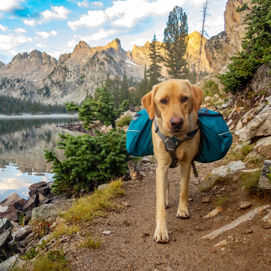 DiscoveryMap's tweet image. Congratulations to Mary Sauerbrey and Sun Valley Discovery Map on the publication of the 2023-2024 maps! 🌟🗺️🎉

Enjoy world-class skiing on powdery slopes in winter, and scenic hiking and biking trails in the summer.

#MountainParadise #discoverymap