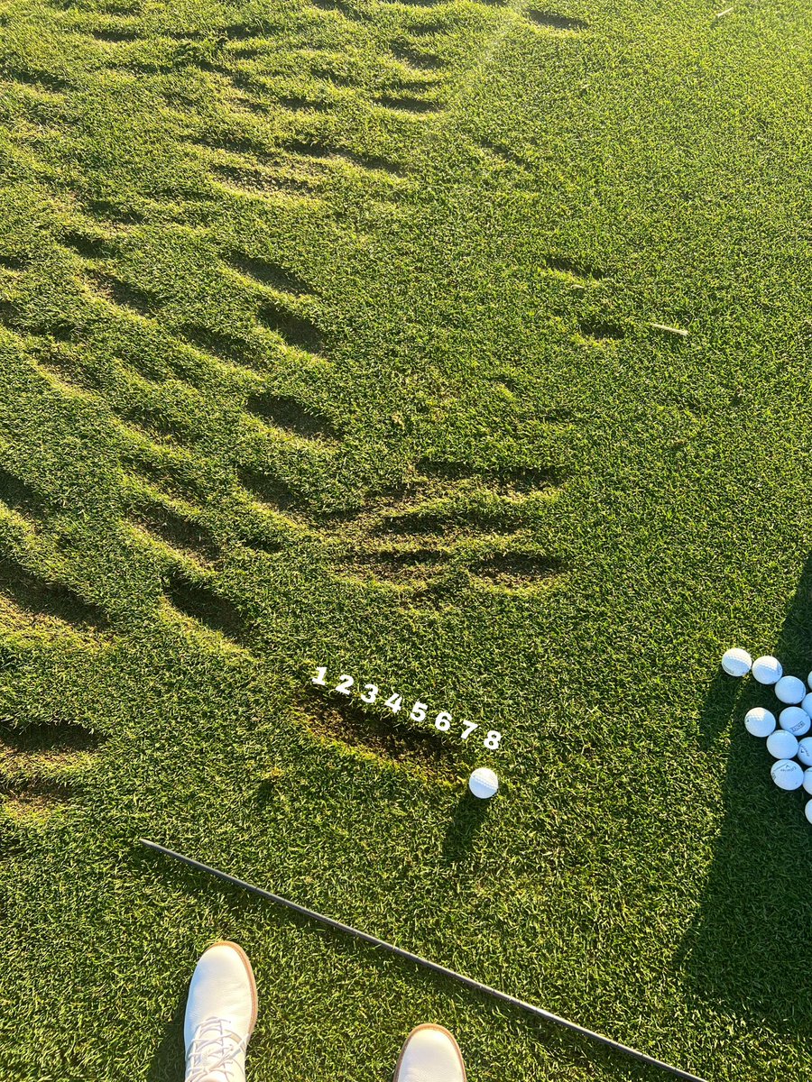 hannahbggg's tweet image. I can’t think of an easier way to explain this 🤷🏼‍♀️