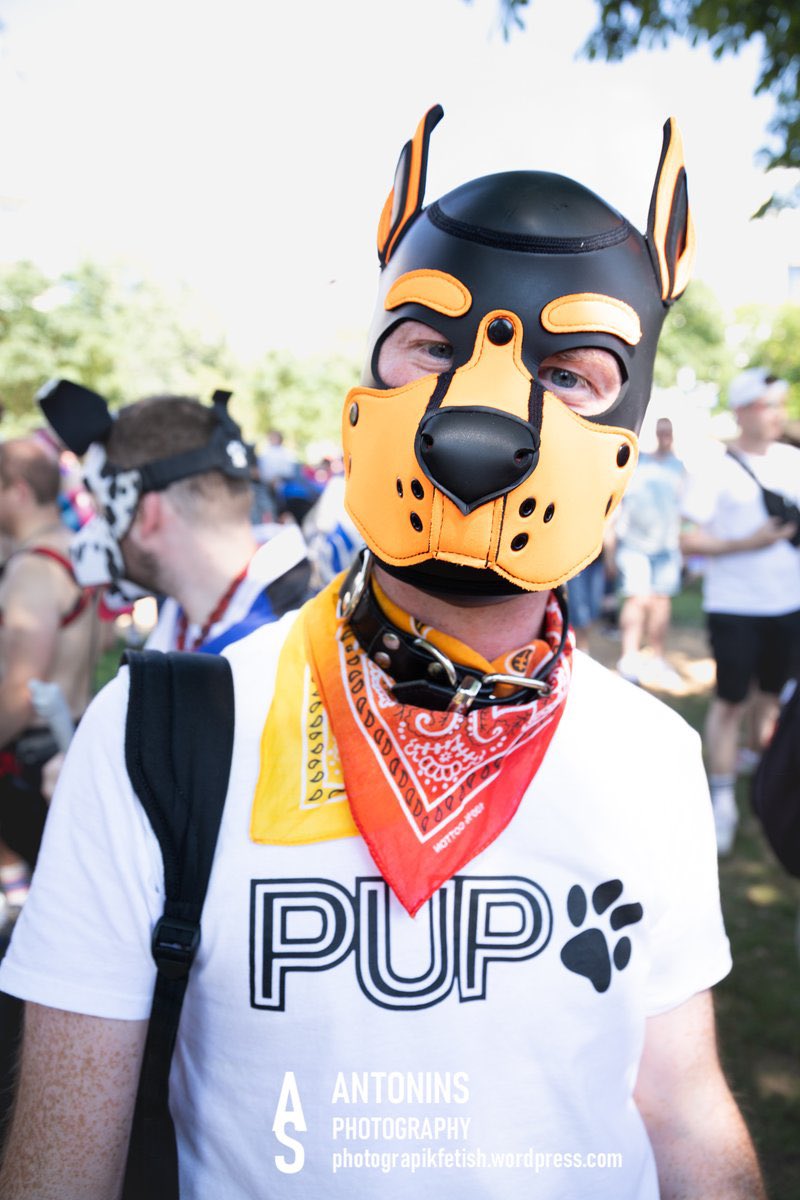 Des pup à la pride de Paris 2023 …

@Lanka65710034 <a href="/Pup_Proxi/">Proxi</a> et Ghost 

(Repost car c’était son compte très NSFW … vous l’avez eu ? 😜)