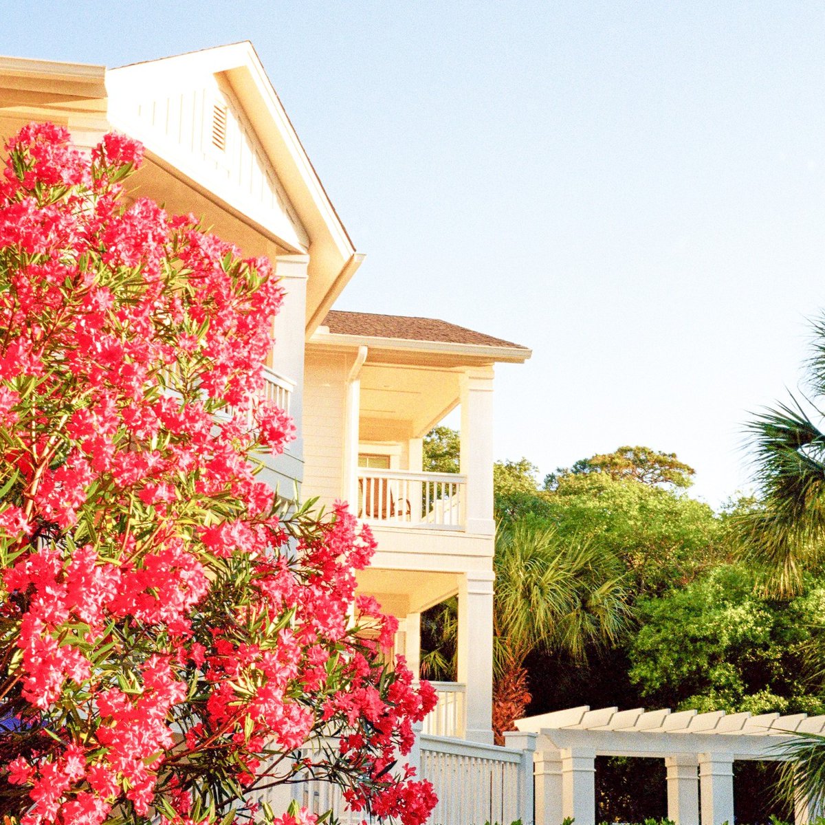 DiscoveryMap's tweet image. Congratulations to Darlene &amp;amp; Lars Wiren and Discovery Map of Hilton Head Island, SC on the publication of the 2023-2024 maps! 🌟🗺️🎉

Hilton Head Island entices with its pristine beaches, world-class golf, and tranquil beauty. 

#HiltonHead #Bluffton #CoastalCharm #discoverymap