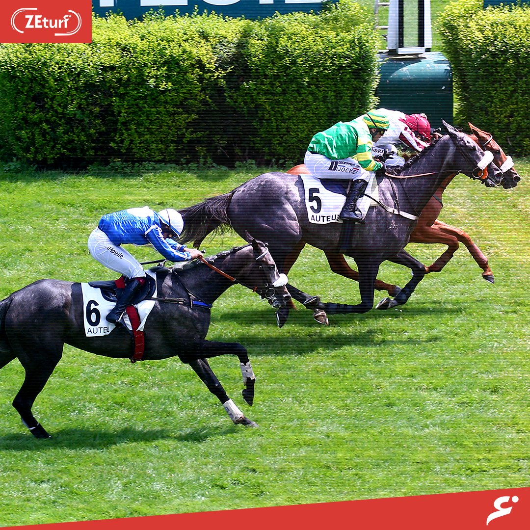 ZEturf 🔞 on Twitter: 