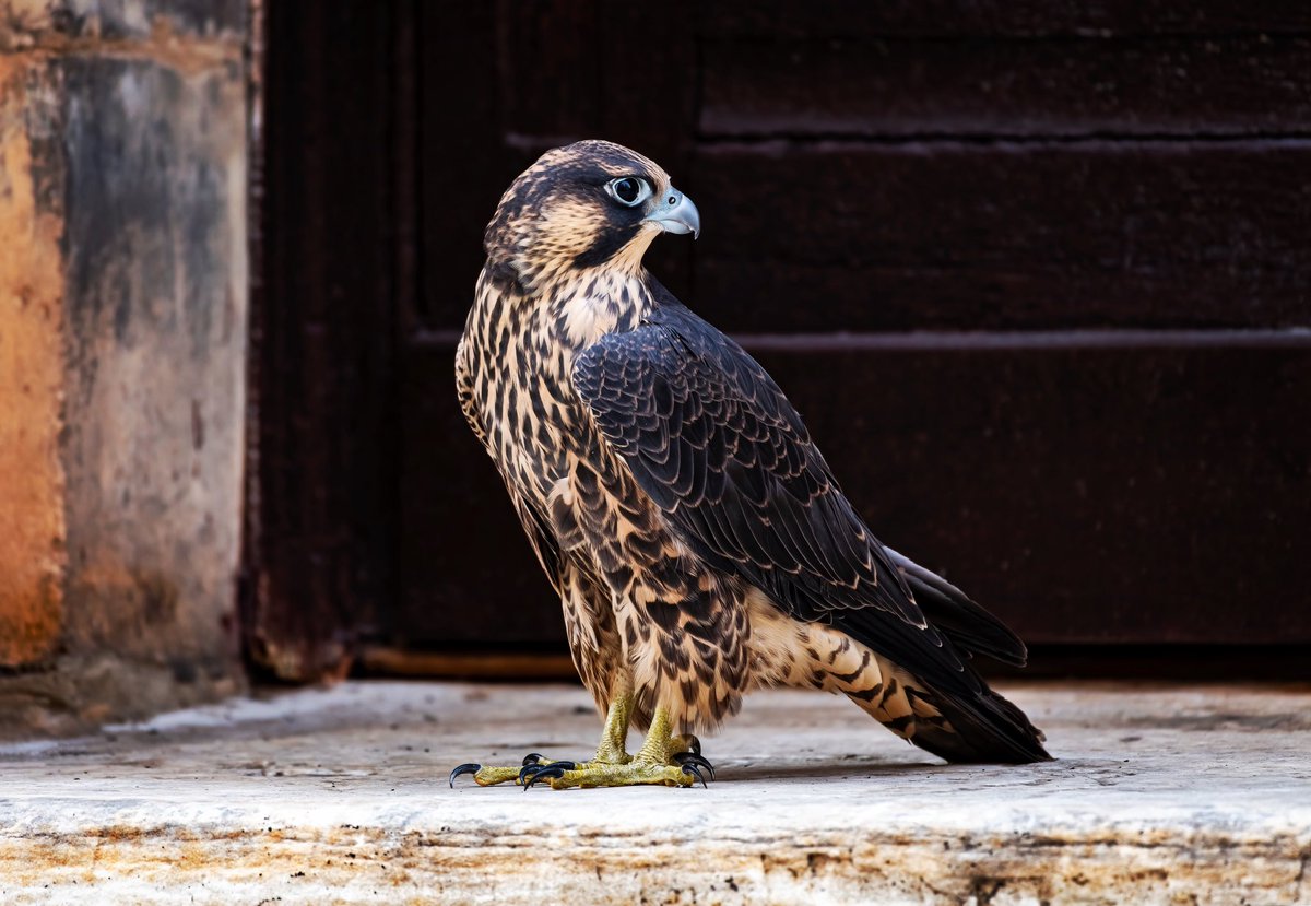 Cole Coldwater tweet media