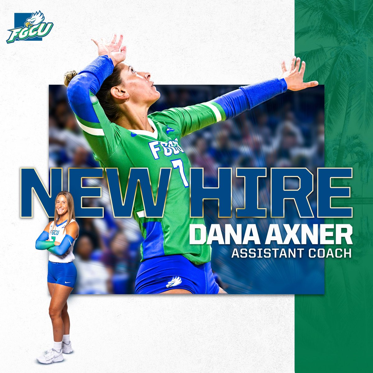 FGCU_VB's tweet photo. Back like she never left 😉

📰: https://t.co/fzCbHCJHqW

#TakingFlight 🤙🦅🌴 https://t.co/MIT1Pi9YX9