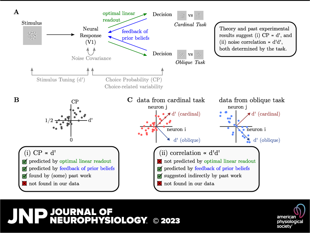 JNeurophysiol's tweet photo. 🔓Free to read!!! 🔓

📖Weak evidence for neural correlates of task-switching in macaque V1 by Richard D. Lange et al.

🖱https://t.co/CBiiehubJK

@haefnerlab @realrickborn #NoiseCorrelations #ChoiceProbability #TaskSwitching https://t.co/csVsiXP4Hk