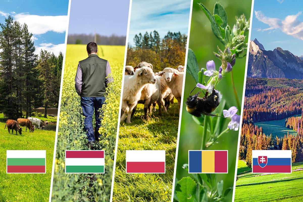 ECinBulgaria's tweet photo. 🇪🇺 🇧🇬 Добра новина за България!

Държавите членки на ЕС одобриха пакет за подпомагане на земеделските стопани в 5 държави в размер на 100 милиона евро. 

На държавите ще бъдат отпуснати:
🇧🇬: 9.77 млн. €
🇭🇺: 15.93 млн. €
🇵🇱: 39.33 млн. €
🇷🇴: 29,73 млн. €
🇸🇰: 5,24 млн. € https://t.co/KCEWZCThPa