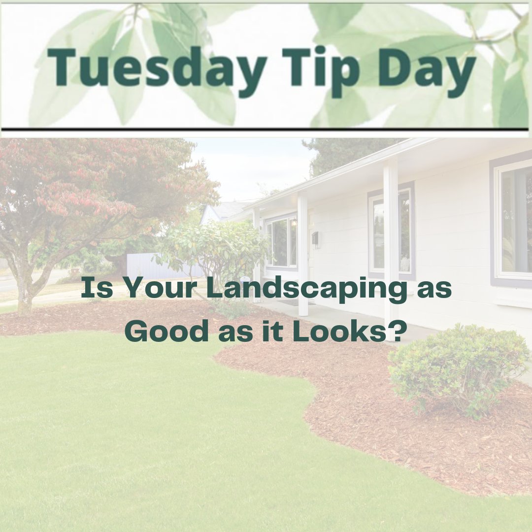 Learn more about how to have a beautiful outdoor space that keeps your indoor air clean too.:

🌳maineindoorair.org/landscaping/

#TopicTuesday #Landscaping #IAQ