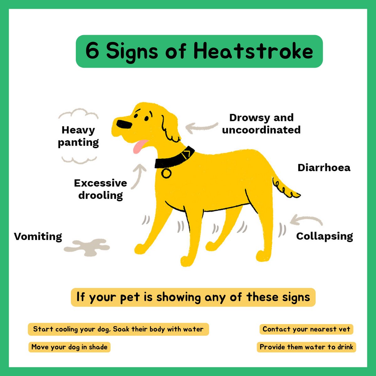 6 signs of Heatstroke
#petscare #peplee #petslife #dogscare #petcaretips #petwellness #cutepets #petservices