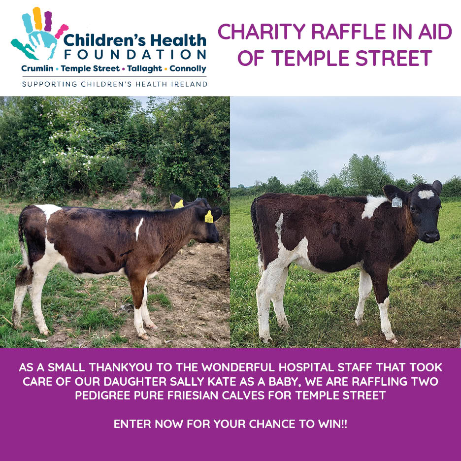 At Thursday's Pure Friesian Open Day Gearoid and Sarah Maher are generously raffling two January born Pedigree Pure Friesian Calves both with EBI over €230! Make sure to buy your tickets on the day or donate online at idonate.ie/fundraiser/Sal…