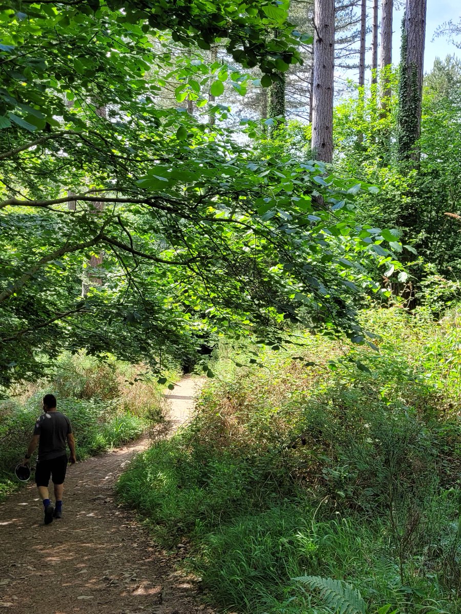 Even the footpath to the rock face where we rock climb is stunning! #visitdeanwye #rockclimbing #Summer #familyfun #July