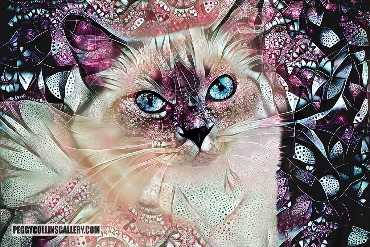 This is an older portrait of a ragdoll cat...I named her Sadie. Prints & more available at peggy-collins.pixels.com/featured/sadie…

#ragdoll #ragdollcat #cats #caturday #pinkcat #catart #artforsale #catartist #BuyIntoArt #AYearForArt #peggycollins