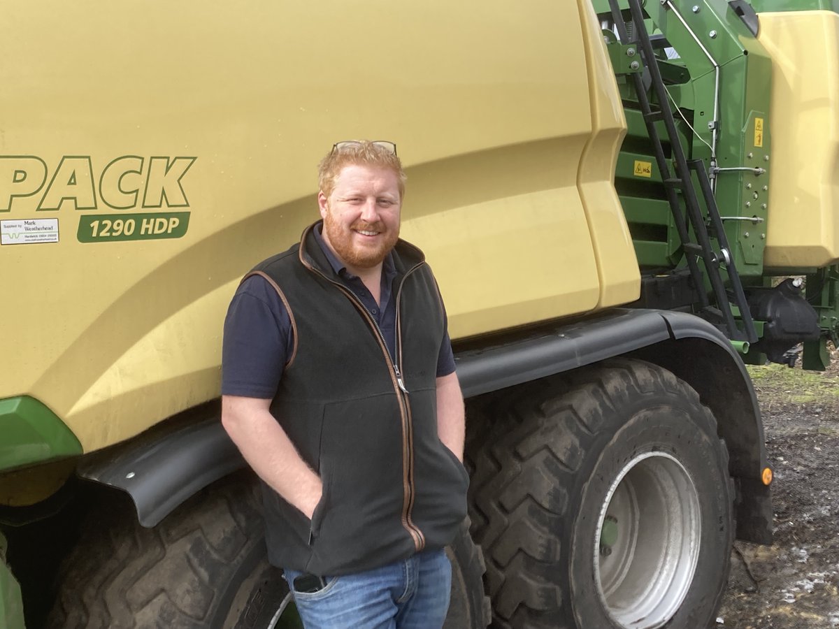 Krone UK tweet media