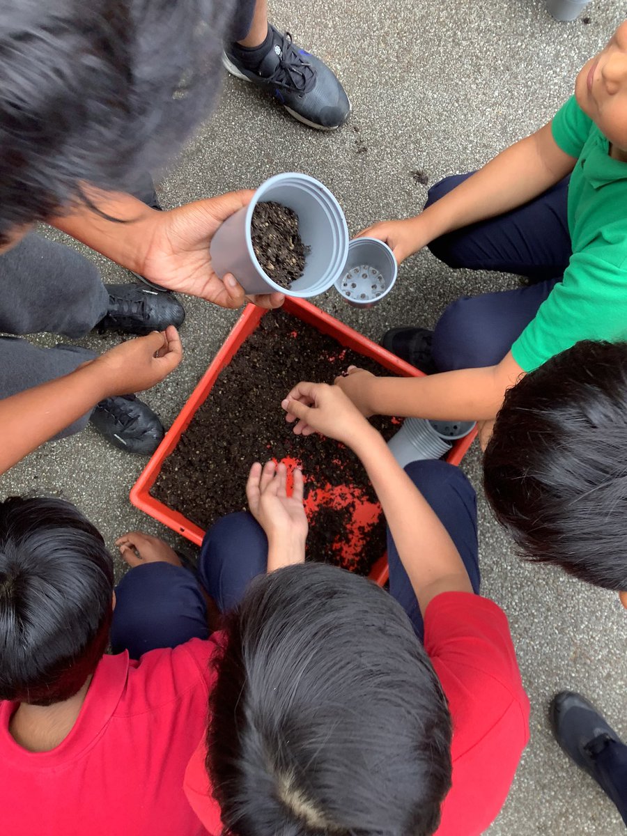 Halley Year5 tweet media