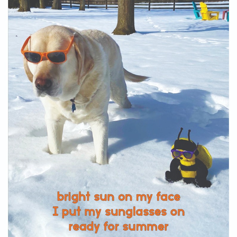 Grab your glasses, then write a haiku - it's #nationalsunglassesday!
maryruthbooks.com/wp-content/upl…