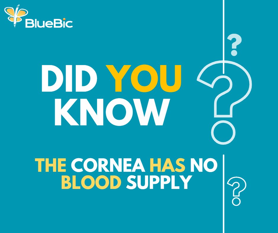 BlueBicHQ's tweet photo. The cornea has no blood supply🤔

The only part of the body that has no blood supply is the cornea of the eyes. It receives oxygen directly from the air.

#sciencefacts #knowledge #cornea #sight #bluebic https://t.co/Jlqy1jTJ8r
