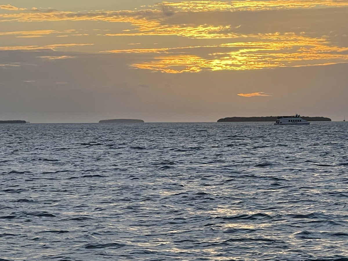 When Elon bought Twitter, I posted that his car base customers were ecological conscious and would most likely look to other manufacturers as their politics are opposite. Ever since then EVERY time I open Twitter I’m notified that my tweets haven’t been sent.