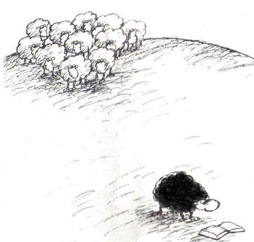 jinwnt's tweet photo. "Mientras más leen las ovejas, más negras se ponen". "No es una metáfora: la oveja negra es, en realidad, la mejor del rebaño". La marca de Caín... https://t.co/xXM10917ra