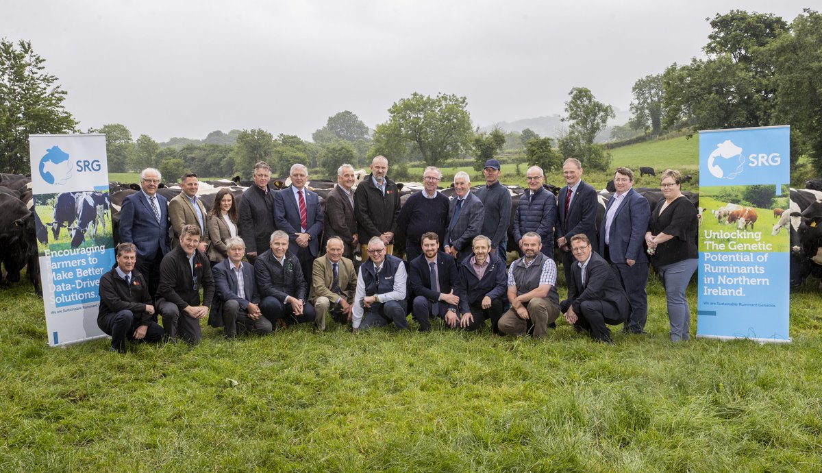 UFUHQ's tweet photo. Sustainable Ruminant Genetics (SRG) Limited held an event today (27 June) at Thoburn McCaughey’s farm, Broughshane, to promote the Ruminant Genetics Programme announced by the Department of Agriculture, Environment and Rural Affairs last week. | @daera_ni https://t.co/Ddak6APhUm https://t.co/kvmltOOqSw