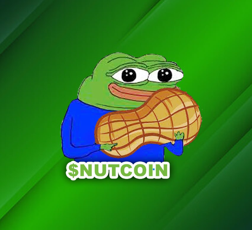 NutCoinERC's tweet photo. $NUT

Launched almost 2 hrs, sitting now on 100k Mcap with 1million+ Volume, getting ready to burst into milly!

#NUT #memecoins #Ethereum #BTC  #DONTBEANUT https://t.co/MVZvuouQJq
