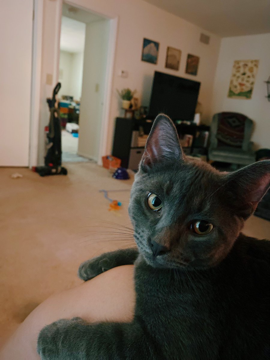 clboli's tweet photo. I can’t believe these are my children 🥹 https://t.co/c1JVOXXuZ9